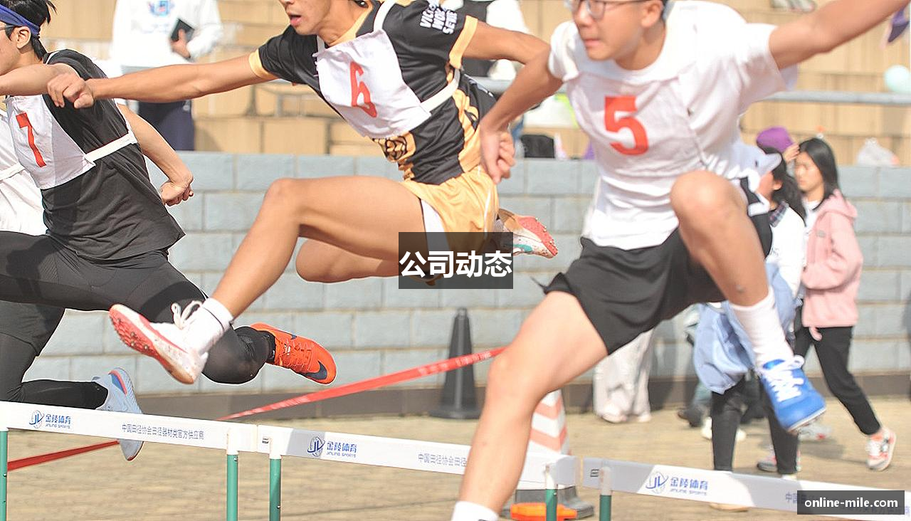 公司动态